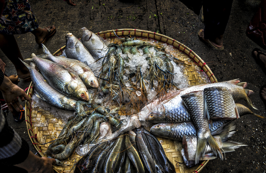 226- Fish Market Rangoon