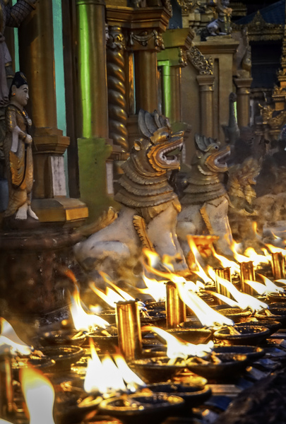 127- CandleLit Lions