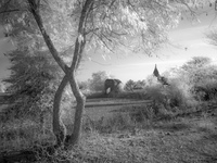 © C Carmichael 2004 - 2025