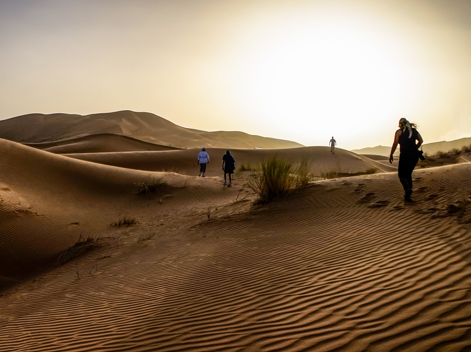 Walking to Sundowner - Sahara Desert