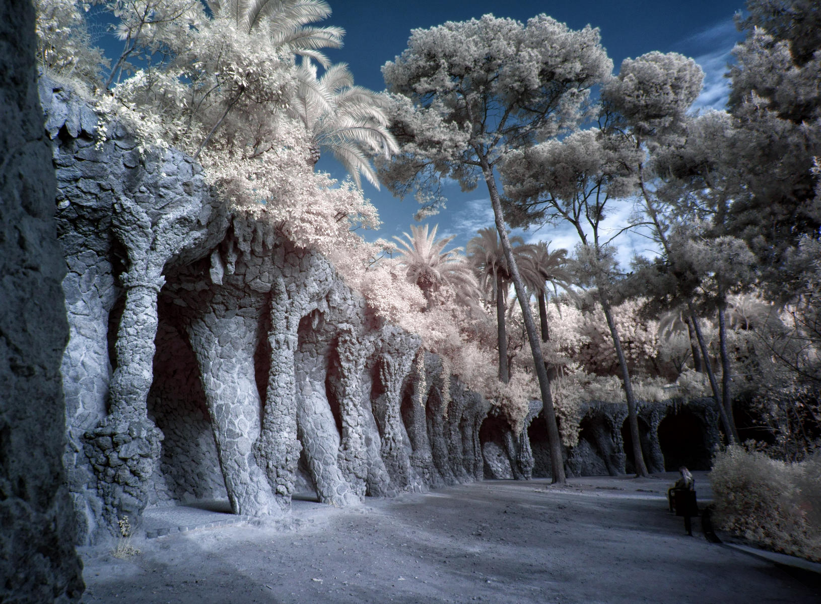 Park Guell Colonnade
