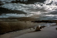 © C Carmichael 2004 - 2024