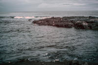 © C Carmichael 2004 - 2024